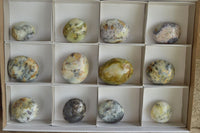 Polished Dendritic Green & White Opal Gallets x 12 From Madagascar - TopRock