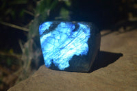 Polished Stunning Labradorite Standing Free Forms With Intense Full Face Flash  x 2 From Tulear, Madagascar