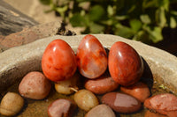 Polished Small Carnelian Agate Eggs  x 20 From Madagascar - TopRock