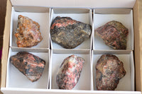 Natural Rough Pink & Black Rhodonite Specimens  x 6 From Zimbabwe - TopRock