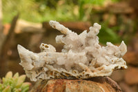 Natural Fluorescent Drusy Quartz Coated Dog Tooth Calcite Specimens x 6 From Alberts Mountain, Lesotho - TopRock