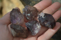 Natural Window Amethyst Crystals  x 12 From Chiredzi, Zimbabwe