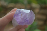 Polished Single Jacaranda Amethyst Crystals  x 12 From Zambia - Toprock Gemstones and Minerals 