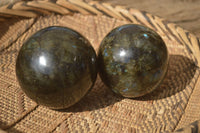 Polished  Labradorite Spheres With Subtle Flash  x 3 From Tulear, Madagascar