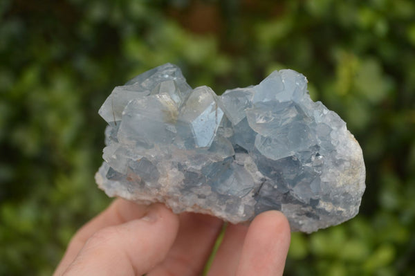 Natural Blue Celestite Crystal Specimens  x 6 From Sakoany, Madagascar