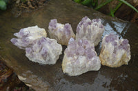 Natural Sugar Amethyst Clusters  x 6 From Zambia - Toprock Gemstones and Minerals 