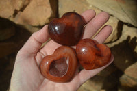 Polished Carnelian Agate Hearts  x 12 From Madagascar