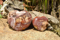 Polished Extra Large Petrified Red Podocarpus Wood Hearts  x 2 From Mahajanga, Madagascar - TopRock