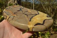 Polished Septerye (Aragonite & Calcite) Slices x 5 From Mahajanga, Madagascar - TopRock