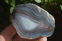 Polished Banded River Agate Nodules  x 4 From Sashe River, Zimbabwe - Toprock Gemstones and Minerals 