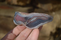 Polished River Agate Nodules  x 6 From Sashe River, Zimbabwe