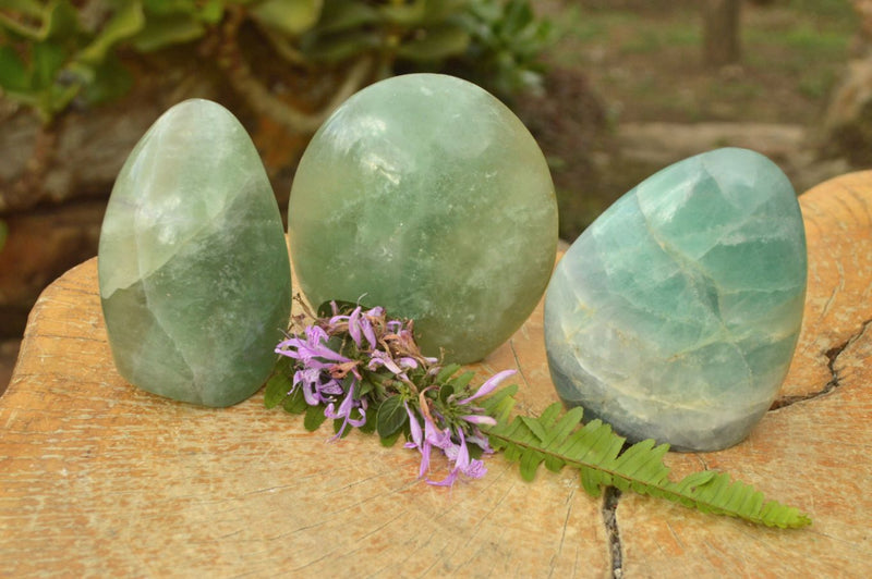 Polished Green Fluorite Standing Free Forms x 3 From Madagascar