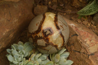 Polished Septarian (Calcite & Aragonite) Spheres  x 6 From Mahajanga, Madagascar - TopRock