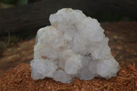 Natural White Spirit Cactus Quartz Clusters  x 2 From Boekenhouthoek, South Africa - Toprock Gemstones and Minerals 