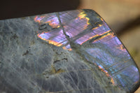 Polished Rare Purple Flash Labradorite Standing Free Forms x 3 From Tulear, Madagascar