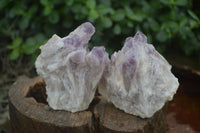 Natural Sugar Amethyst Clusters  x 6 From Zambia - Toprock Gemstones and Minerals 