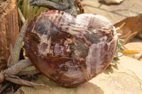 Polished Extra Large Petrified Red Podocarpus Wood Hearts  x 2 From Mahajanga, Madagascar - TopRock