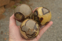 Polished Septarian (Calcite & Aragonite) Spheres  x 6 From Mahajanga, Madagascar - TopRock