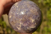 Polished Purple Lepidolite Spheres  x 6 From Madagascar - TopRock