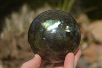 Polished  Labradorite Spheres With Subtle Flash  x 3 From Tulear, Madagascar