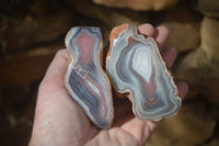 Polished River Agate Nodules  x 6 From Sashe River, Zimbabwe