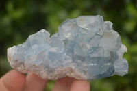 Natural Blue Celestite Crystal Specimens  x 6 From Sakoany, Madagascar