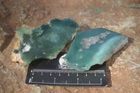 Polished One Side Polished Emerald Mtorolite Plates  x 12 From Zimbabwe