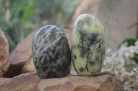 Polished Leopard Stone Free Forms  x 6 From Zimbabwe