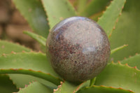 Polished Red Garnet Spheres  x 2 From Madagascar - TopRock