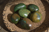 Polished Green Verdite Free Forms x 6 From Zimbabwe