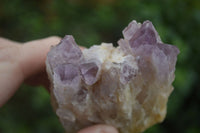 Natural Sugar Amethyst Clusters  x 6 From Zambia - Toprock Gemstones and Minerals 