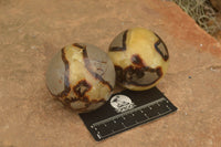 Polished Septarian (Calcite & Aragonite) Spheres  x 6 From Mahajanga, Madagascar - TopRock