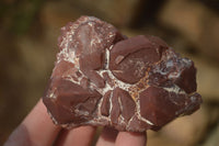 Natural Red Hematoid Quartz Specimens x 12 From Karoi, Zimbabwe