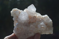 Natural White Spirit Cactus Quartz Clusters  x 2 From Boekenhouthoek, South Africa - Toprock Gemstones and Minerals 