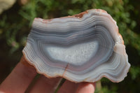 Polished Banded River Agate Nodules  x 4 From Sashe River, Zimbabwe - Toprock Gemstones and Minerals 