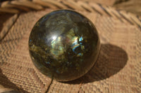 Polished  Labradorite Spheres With Subtle Flash  x 3 From Tulear, Madagascar