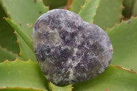 Polished Purple Lepidolite Hearts  x 6 From Madagascar - TopRock