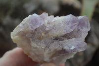 Natural Sugar Amethyst Clusters  x 6 From Zambia - Toprock Gemstones and Minerals 