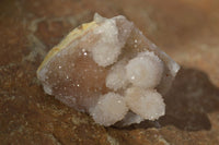 Natural White Spirit Quartz Clusters  x 12 From Boekenhouthoek, South Africa - Toprock Gemstones and Minerals 