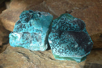 Natural Gorgeous Malacholla Specimens x 2 From Kulukuluku, Congo