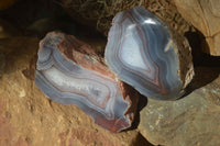 Polished Banded River Agate Nodules  x 4 From Sashe River, Zimbabwe - Toprock Gemstones and Minerals 