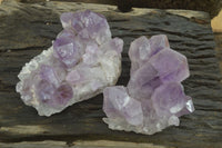 Natural Jacaranda Amethyst Clusters x 2 From Zambia