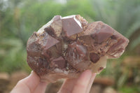 Natural Red Hematoid Quartz Specimens x 2 From Karoi, Zimbabwe - TopRock