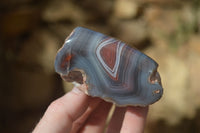 Polished River Agate Nodules  x 6 From Sashe River, Zimbabwe