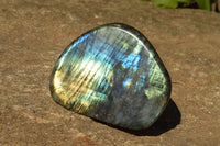 Polished Labradorite Standing Free Forms With Intense Blue & Gold Flash x 3 From Sakoany, Madagascar - TopRock