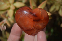 Polished Carnelian Agate Hearts  x 12 From Madagascar