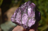 Natural Metallic Purpurite Cobbed Specimens  x 6 From Erongo, Namibia - Toprock Gemstones and Minerals 