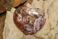 Polished Extra Large Petrified Red Podocarpus Wood Hearts  x 2 From Mahajanga, Madagascar - TopRock