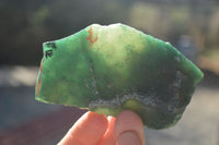 Natural Rough Emerald Mtorolite Specimens  x 5 From Zimbabwe