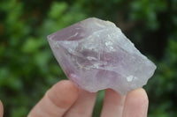 Polished Single Jacaranda Amethyst Crystals  x 12 From Zambia - Toprock Gemstones and Minerals 